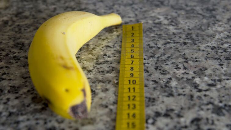 merjenje penisa po povečanju glavice na primeru banane
